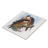 ヴィンテージシェーン《鳥》ハヤブサ鳥獣イラストレーション タイル (側面)