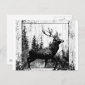 ヴィンテージシカ白黒動物 ポストカード (正面/裏面)