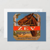 ヴィンテージシガーラベル、ゼフレースホースブラウン子馬 ポストカード (正面/裏面)