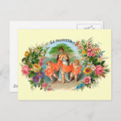 ヴィンテージシガーラベルLa Palmiera、天使の女性 ポストカード (正面/裏面)