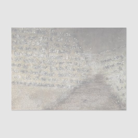 ヴィンテージシックな国素朴本ページ 薄葉紙 (正面)