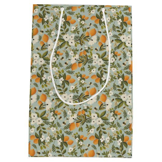 ヴィンテージシトラスボタニカル抱き枕 ミディアムペーパーバッグ (裏面)