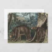 ヴィンテージシナモンベアオードボン ポストカード (正面/裏面)