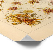 ヴィンテージシフォノフォレカラーエルンストヘッケルプリント ポスター (角)