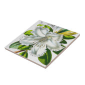 ヴィンテージシャクナゲ植物 タイル (側面)