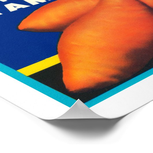 ヴィンテージシャンプサツマイモ ポスター (角)