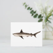 ヴィンテージシャークイラストレーション-レトロシャークテンプレート ポストカード (スタンド正面)
