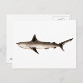 ヴィンテージシャークイラストレーション-レトロシャークテンプレート ポストカード (正面/裏面)