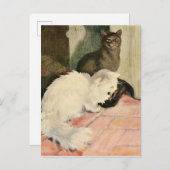 ヴィンテージシルキーブラックキャット&フワフワ白猫 案内ポストカード (正面/裏面)