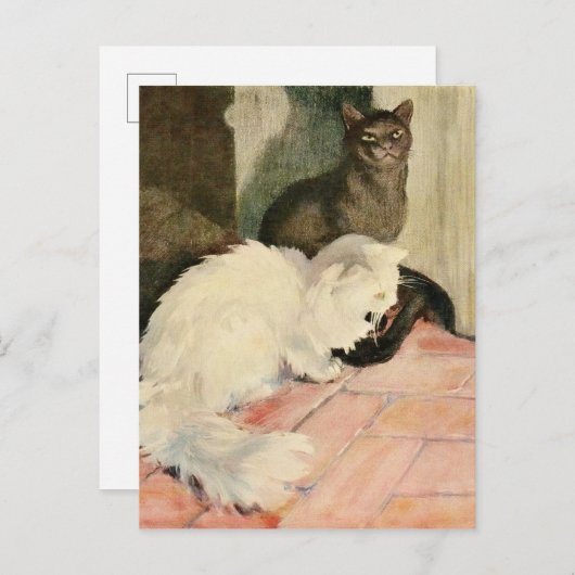 ヴィンテージシルキーブラックキャット&フワフワ白猫 案内ポストカード (正面/裏面)