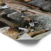 ヴィンテージシンデ食べ物を与えレラの鳥 ポスター (角)