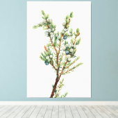 ヴィンテージシンプルボタニカルマウンテンジュニパー キャンバスプリント (インサイチュ (ウッドフロア))