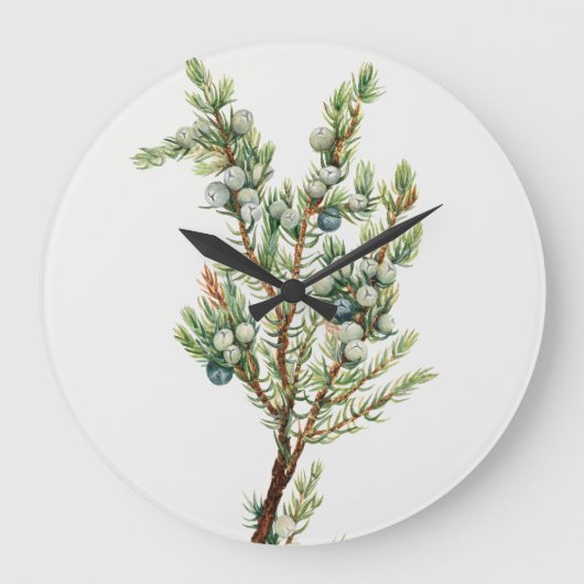 ヴィンテージシンプルボタニカルマウンテンジュニパー ラージ壁時計 (正面)