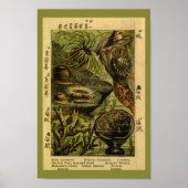 ヴィンテージシーアネモネシークリーズアートプリント ポスター (正面)