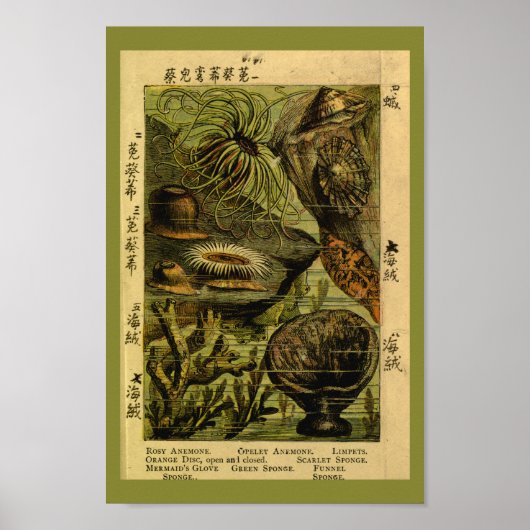 ヴィンテージシーアネモネシークリーズアートプリント ポスター (正面)