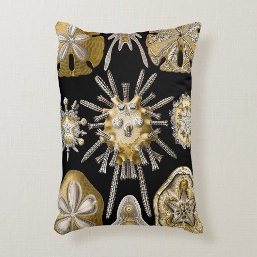 ヴィンテージシーウルチンスサンドダラーズバイエルンストヘックル アクセントクッション (正面(垂直))