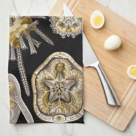 ヴィンテージシーウルチンスサンドダラーズバイエルンストヘックル キッチンタオル (四つ折り)