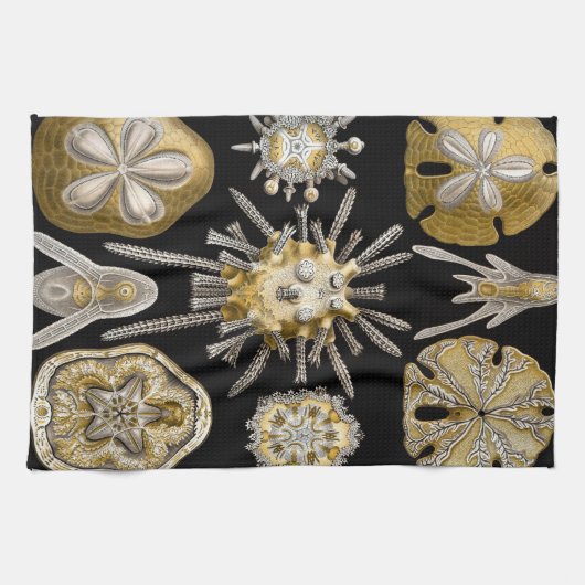 ヴィンテージシーウルチンスサンドダラーズバイエルンストヘックル キッチンタオル (横)