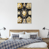 ヴィンテージシーウルチンスサンドダラーズバイエルンストヘックル キャンバスプリント (インサイチュ (寝室))