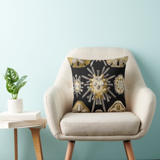 ヴィンテージシーウルチンスサンドダラーズバイエルンストヘックル クッション (椅子)