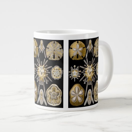 ヴィンテージシーウルチンスサンドダラーズバイエルンストヘックル ジャンボコーヒーマグカップ (正面右)