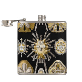 ヴィンテージシーウルチンスサンドダラーズバイエルンストヘックル フラスク