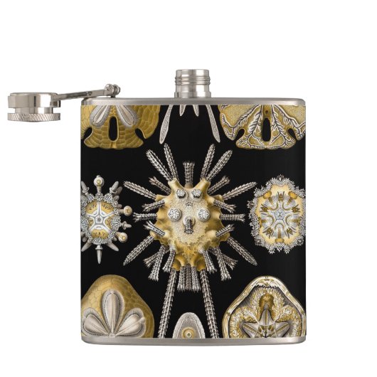 ヴィンテージシーウルチンスサンドダラーズバイエルンストヘックル フラスク (オープン)