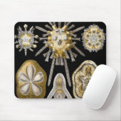 ヴィンテージシーウルチンスサンドダラーズバイエルンストヘックル マウスパッド (マウス)