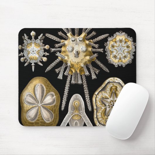 ヴィンテージシーウルチンスサンドダラーズバイエルンストヘックル マウスパッド (マウス)