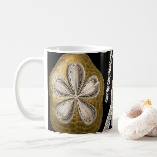 ヴィンテージシーウルチンスサンドダラーズバイエルンストヘックル マグカップ (ドーナツ)