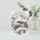 ヴィンテージシーオッターズ1800sカワウソイラストレーション ポストカード (スタンド正面)