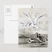 ヴィンテージシーガカスタマイズルズレトロシーガルテンプレート ポストカード (正面/裏面)