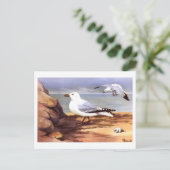 ヴィンテージシーグルス鳥類学プリントR Eトドゥンター ポストカード (スタンド正面)