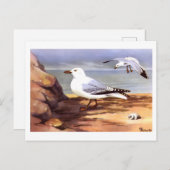 ヴィンテージシーグルス鳥類学プリントR Eトドゥンター ポストカード (正面/裏面)