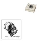 ヴィンテージシーコンチブックエクスリブリ ラバースタンプ (押印)