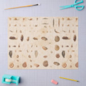 ヴィンテージシーシェルとカタツムリデコパージュ 薄葉紙 (クラフト)