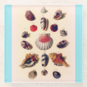 ヴィンテージシーシェルコレクションライトブルー ガラスコースター (正面)