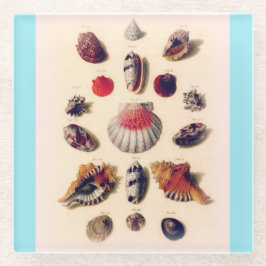 ヴィンテージシーシェルコレクションライトブルー ガラスコースター