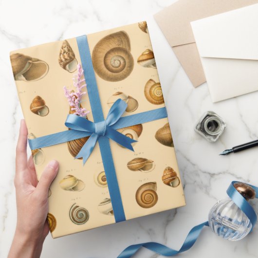 ヴィンテージシーシェルス品揃え  ラッピングペーパー (ギフト)