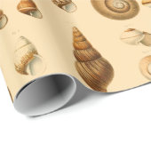 ヴィンテージシーシェルス品揃え  ラッピングペーパー (ロールコーナー)