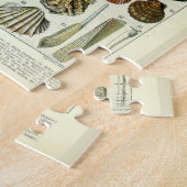 ヴィンテージシーシェルズバイアドルフィミルロ ジグソーパズル (側面)