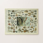 ヴィンテージシーシェルズバイアドルフィミルロ ジグソーパズル (横)