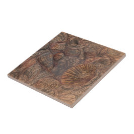 ヴィンテージシーシェルズ海ビーチブラ航海のウン タイル