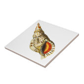 ヴィンテージシーシェルトランペットイラストレーションアクリルトレイ タイル (側面)