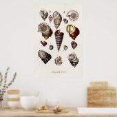 ヴィンテージシーシェルパーソナライズされたレトロオーガーシェル ポスター (キッチン)