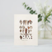 ヴィンテージシーシェルパーソナライズされたレトロオーガーシェル ポストカード (スタンド正面)