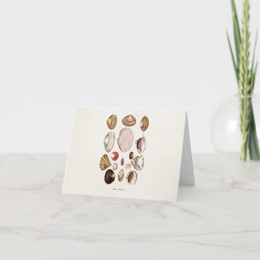 ヴィンテージシーシェルパーソナライズされたレトロクラムシェル カード (正面)