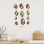 ヴィンテージシーシェルパーソナライズされたレトロベルジュシェル ポスター (キッチン)