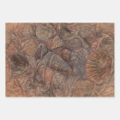 ヴィンテージシーシェル海ビーチブラウンデクページ ラッピングペーパーシート (正面3)