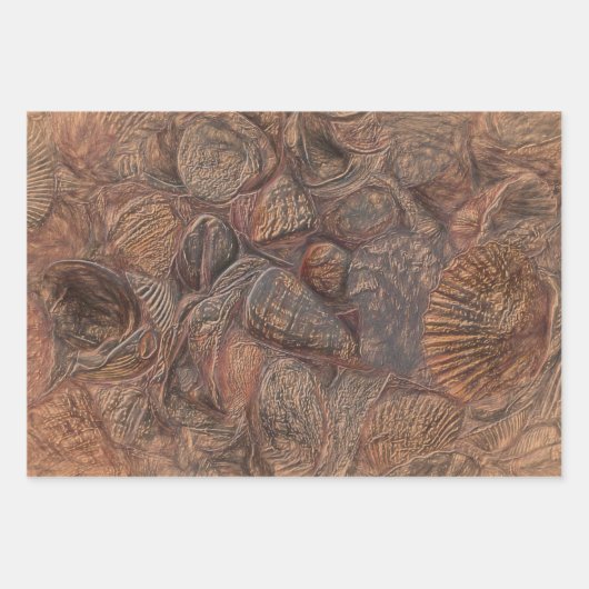 ヴィンテージシーシェル海ビーチブラウンデクページ ラッピングペーパーシート (正面2)